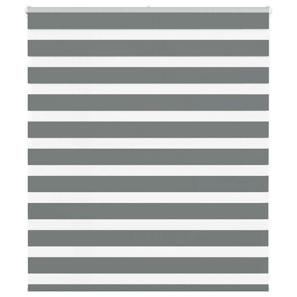 VidaXL Zebra-Rollo 125 x 100 cm, Stoffbreite 120,9 cm, dunkelgrau