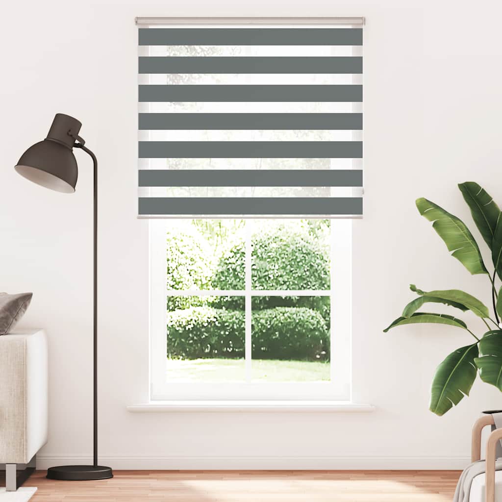 VidaXL Zebra-Rollo 120 x 230 cm, Stoffbreite 115,9 cm, dunkelgrau
