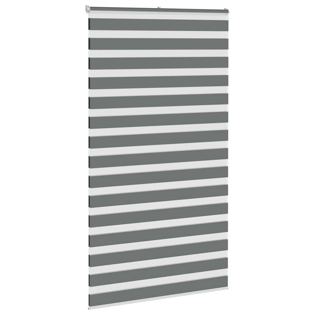VidaXL Zebra-Rollo 120 x 230 cm, Stoffbreite 115,9 cm, dunkelgrau