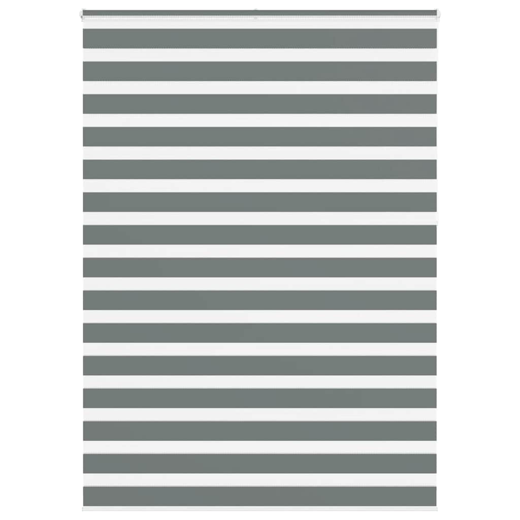VidaXL Zebra-Rollo 155 x 230 cm, Stoffbreite 150,9 cm, dunkelgrau