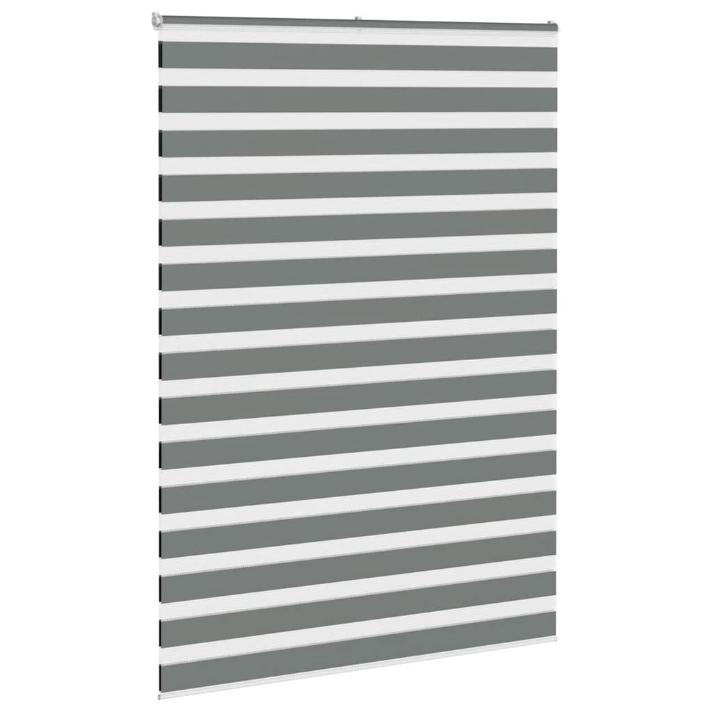 VidaXL Zebra-Rollo 155 x 230 cm, Stoffbreite 150,9 cm, dunkelgrau