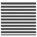 Vidaxl zebra rolgordijn 165x100 cm stofbreedte 160,9 cm zwart