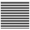 Vidaxl zebra rolgordijn 155x150 cm stofbreedte 150,9 cm zwart