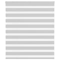 Vidaxl zebra rolgordijn 120x100 cm stofbreedte 115,9 cm lichtgrijs