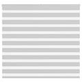 VidaXL Zebra-Rollo 155 x 100 cm, Stoffbreite 150,9 cm, hellgrau