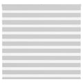 Vidaxl zebra rolgordijn 160x100 cm stofbreedte 155,9 cm lichtgrijs
