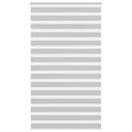 Vidaxl zebra rolgordijn 120x200 cm stofbreedte 115,9 cm lichtgrijs
