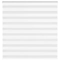 Vidaxl zebra blind 150x100 cm stofbreedte 145,9 cm polyester wit