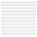 Vidaxl zebra blind 165x100 cm stofbreedte 160,9 cm polyester wit