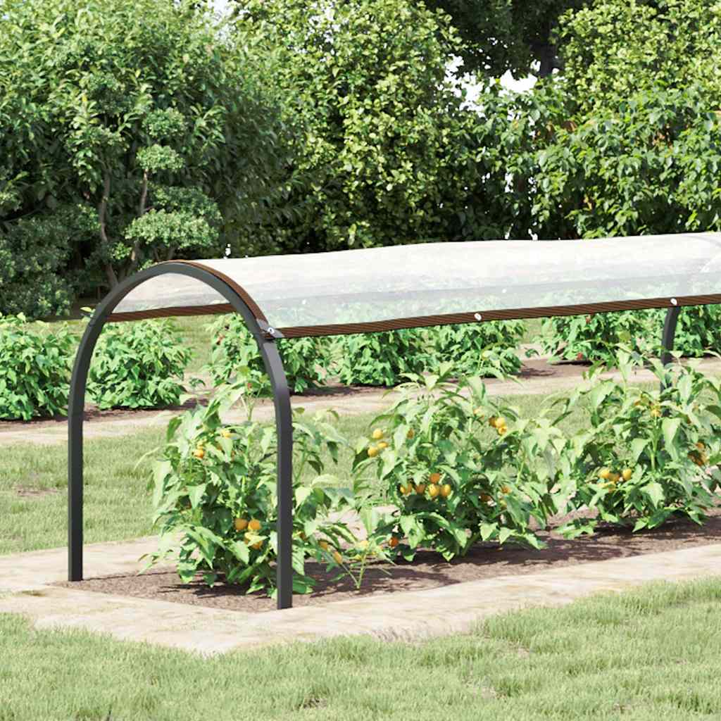 VidaXL Transparente Plane mit Ösen 1x10 m Polyethylen