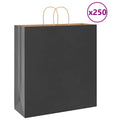 Vidaxl papieren zakken 250 st met hengsels 45x17x48 cm zwart