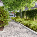 Vidaxl gazonranden 50 st 10x103 cm koudgewalst staal wit
