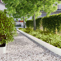 Vidaxl gazonranden 10 st 20x103 cm koudgewalst staal wit