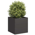Vidaxl plantenbak 40x40x40 cm koudgewalst staal zwart