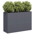 Vidaxl plantenbak 120x40x80 cm koudgewalst staal antracietkleurig