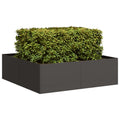 Vidaxl plantenbak 100x100x30 cm staal zwart
