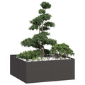 Vidaxl plantenbak 100x100x40 cm staal zwart