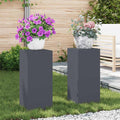 Vidaxl plantenstandaard 2 pcs antraciet 24 x 24 x 55 cm staal