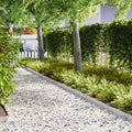 Vidaxl tuinrand 30 pcs zilver 100 x 0.05 x 20 cm roestvrij staal