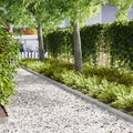 Vidaxl tuinrand 50 pcs zilver 100 x 0.05 x 20 cm gegalvaniseerd staal