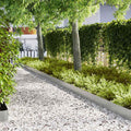 Vidaxl tuinrand 20 pcs zilver 100 x 0.05 x 20 cm gegalvaniseerd staal