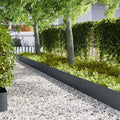 Vidaxl tuinrand 10 pcs antraciet 100 x 0.05 x 20 cm koudgewalst staal