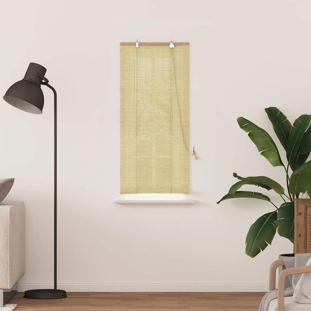 Vidaxl rolgordijn met gordijnen natuur 60 x 160 cm bamboe
