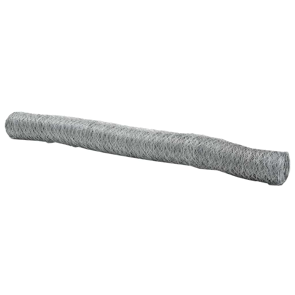 Vidaxl hexagon hek zilver 1 x 100 m gegalvaniseerd staal