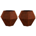 Vidaxl plantenbak 2 pcs roestig 100 x 100 x 80 cm cortenstaal