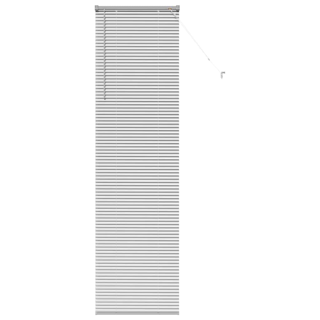 Vidaxl venetiaanse jaloezieën zilver 220 x 60 cm aluminium