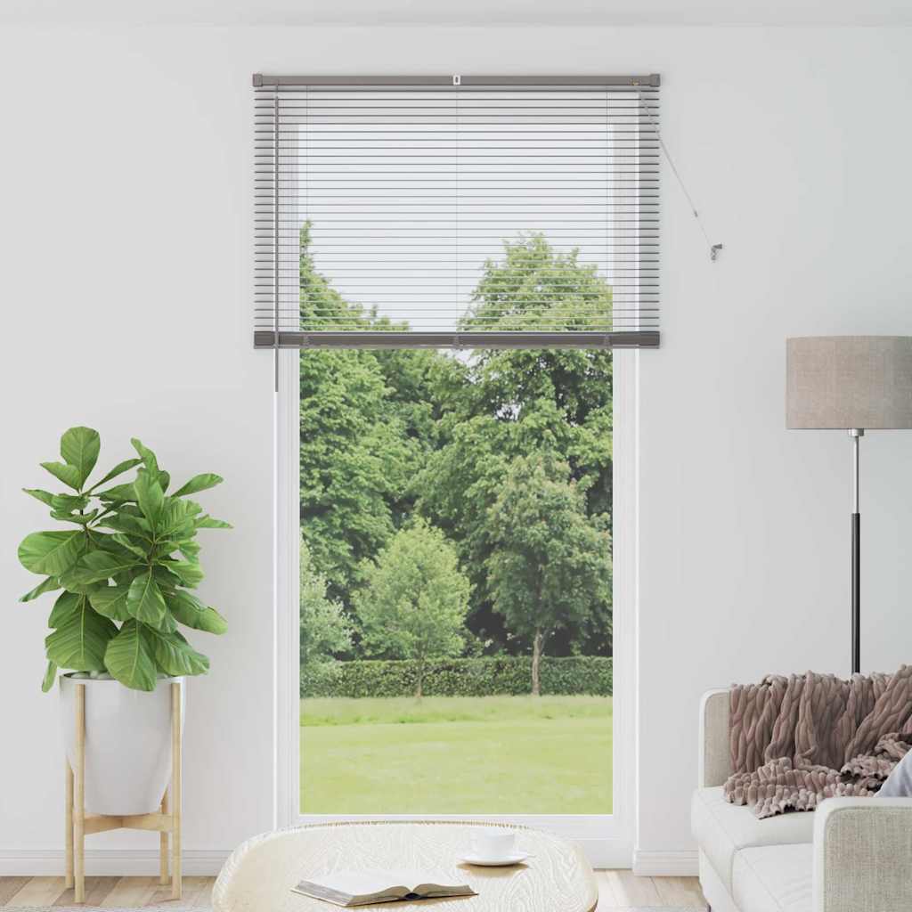 Vidaxl venetiaanse jaloezie zilver 220 x 110 cm 25 mm aluminium