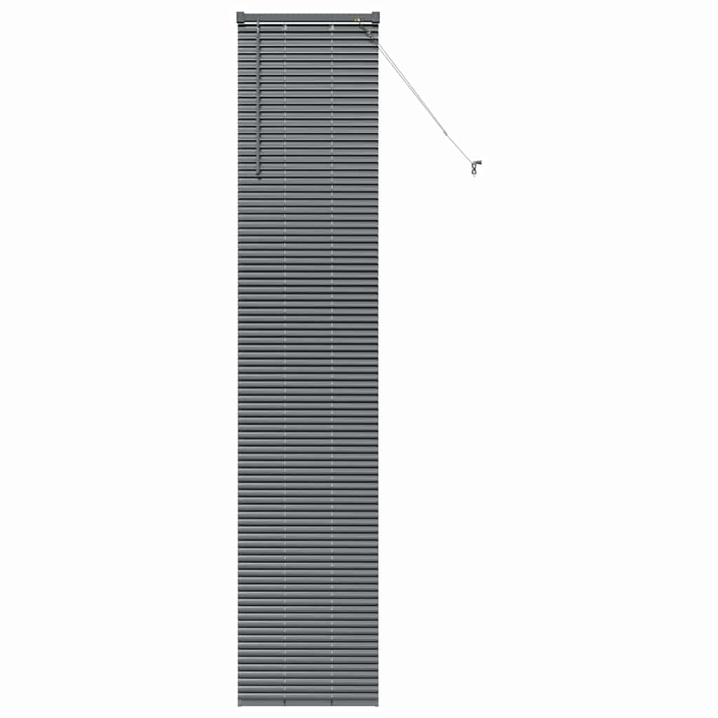 Vidaxl venetiaanse jaloezieën donkergrijs 220 x 40 cm aluminium