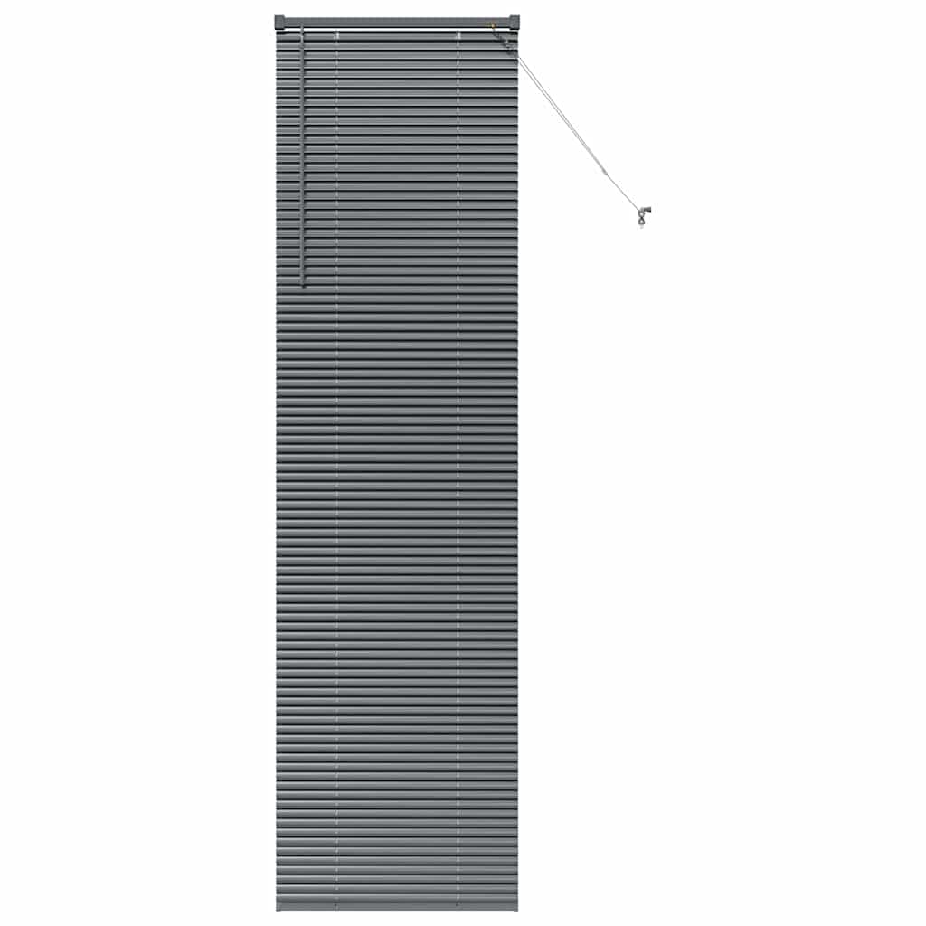 Vidaxl venetiaanse jaloezieën donkergrijs 220 x 65 cm aluminium