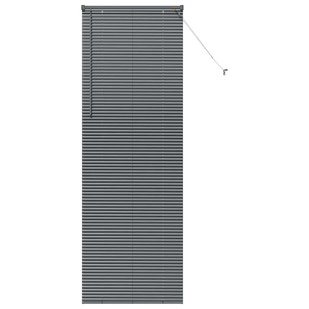 Vidaxl venetiaanse jaloezieën donkergrijs 220 x 70 cm aluminium