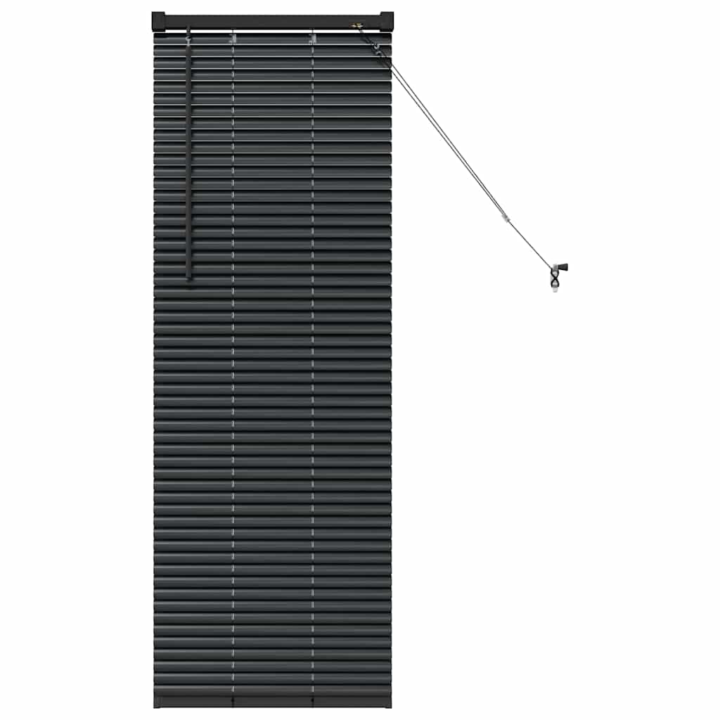 Vidaxl venetiaanse jaloezieën zwart 130 x 50 cm aluminium