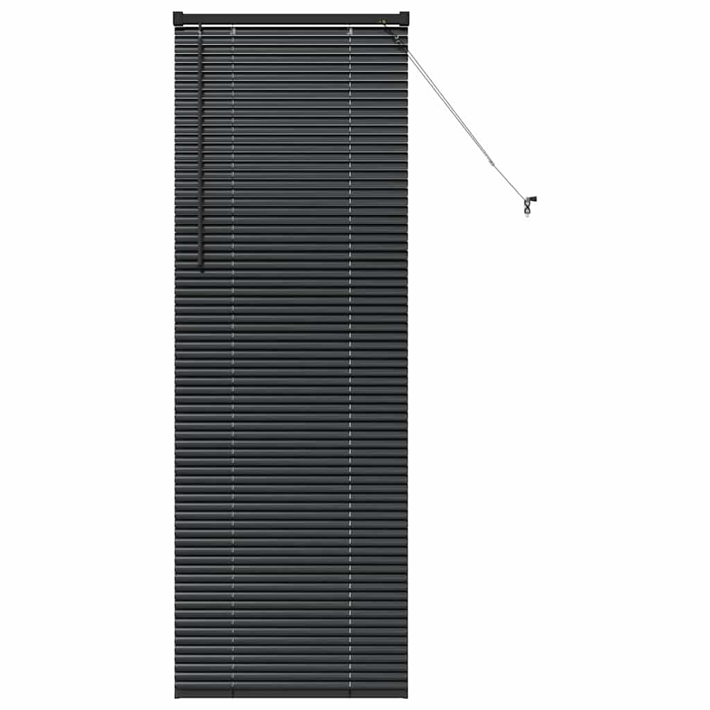 Vidaxl venetiaanse jaloezieën zwart 175 x 60 cm aluminium