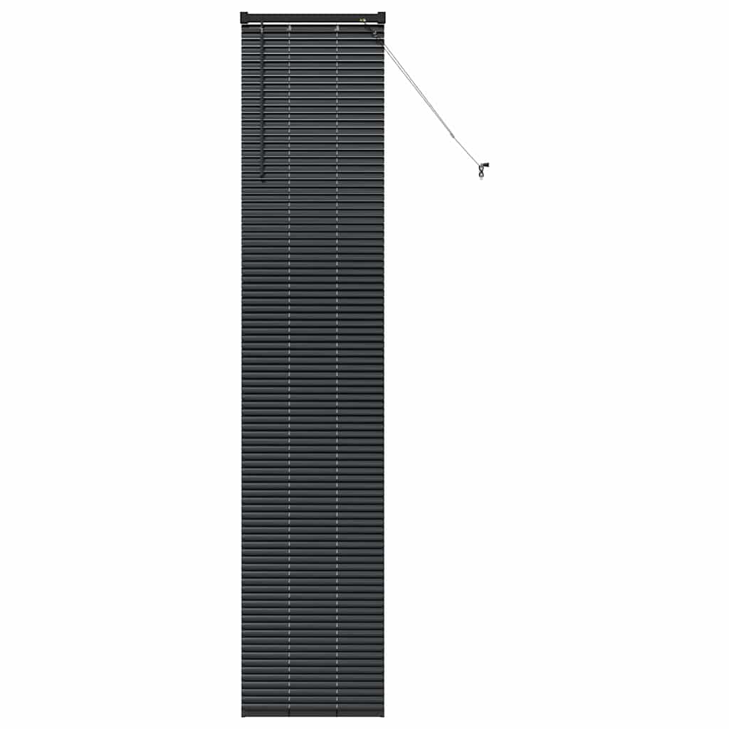 Vidaxl venetiaanse jaloezieën zwart 220 x 45 cm aluminium