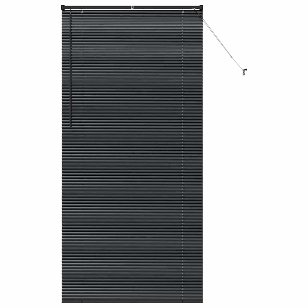 Vidaxl venetiaanse jaloezieën zwart 220 x 100 cm aluminium