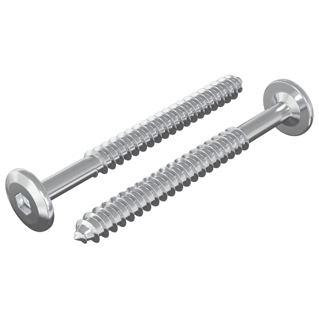 Vidaxl houten schroeven 2 pcs zilver m6 x 70 mm staal