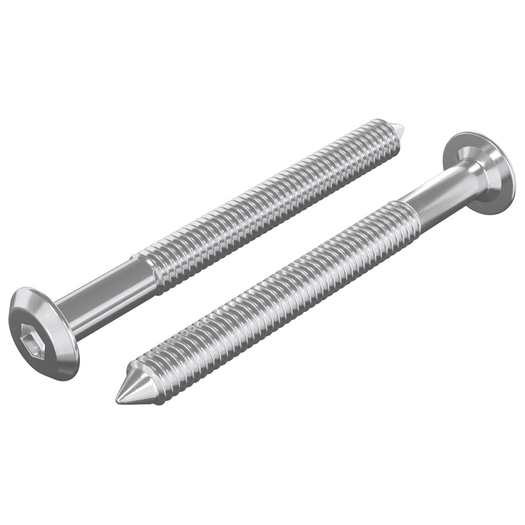 Vidaxl meubelschroeven 2 pcs zilver m6 x 60 mm staal