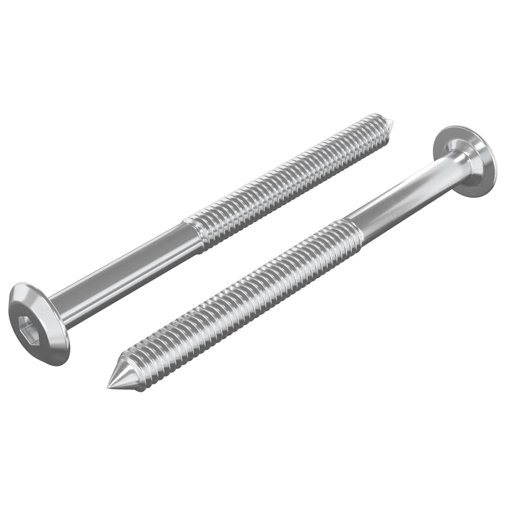 Vidaxl meubelschroeven 2 pcs zilver m6 x 70 mm staal