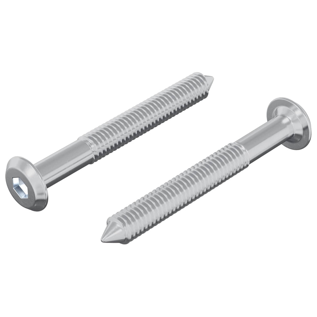 Vidaxl bout 2 pcs zilver m6 x 50 mm staal