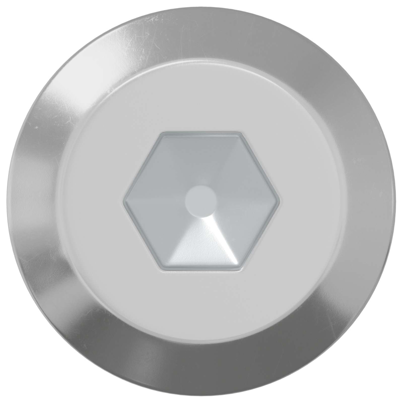 Vidaxl bout 12 pcs zilver m6 x 100 mm staal