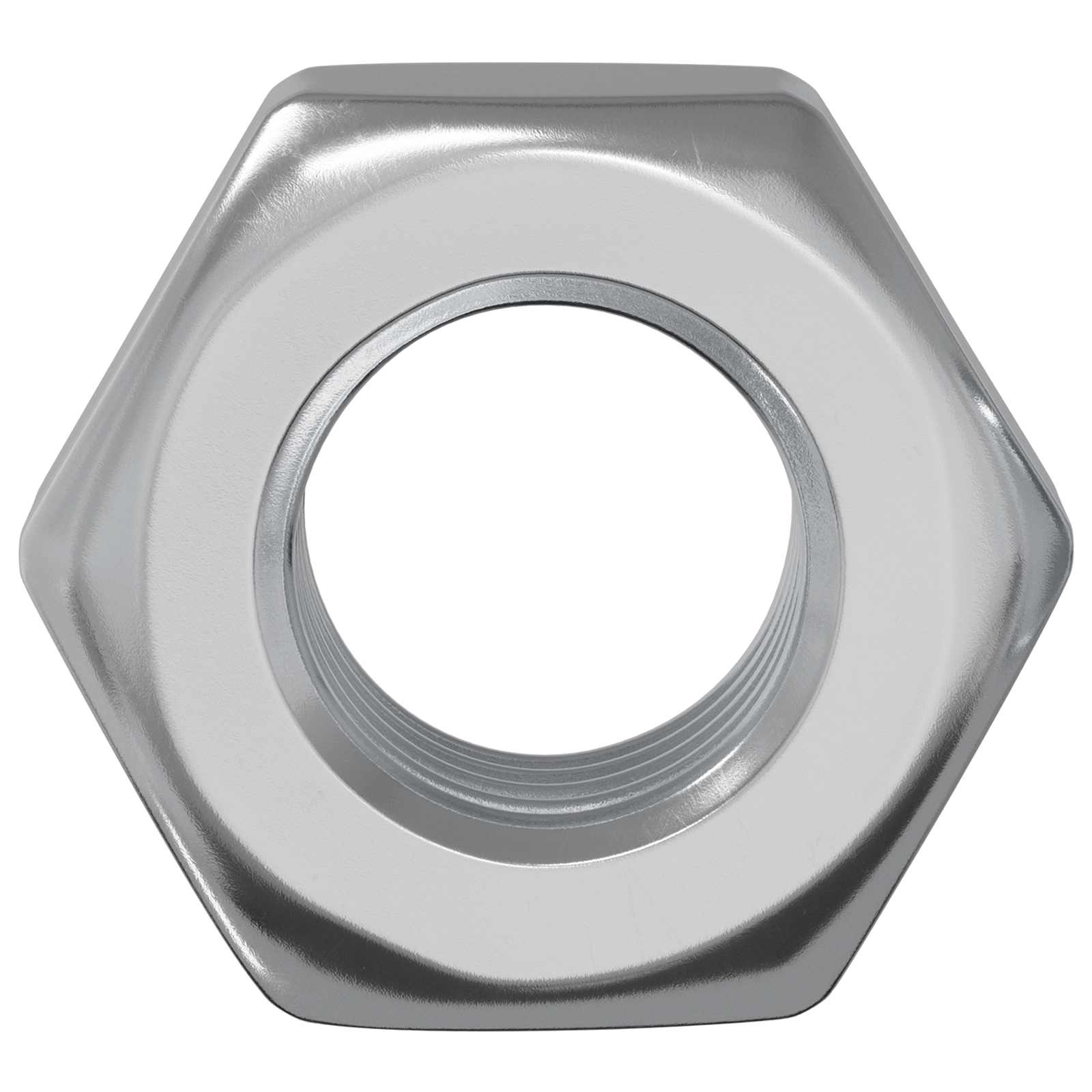 Vidaxl zeshoekige moeren 12 pcs zilver m8 ijzer