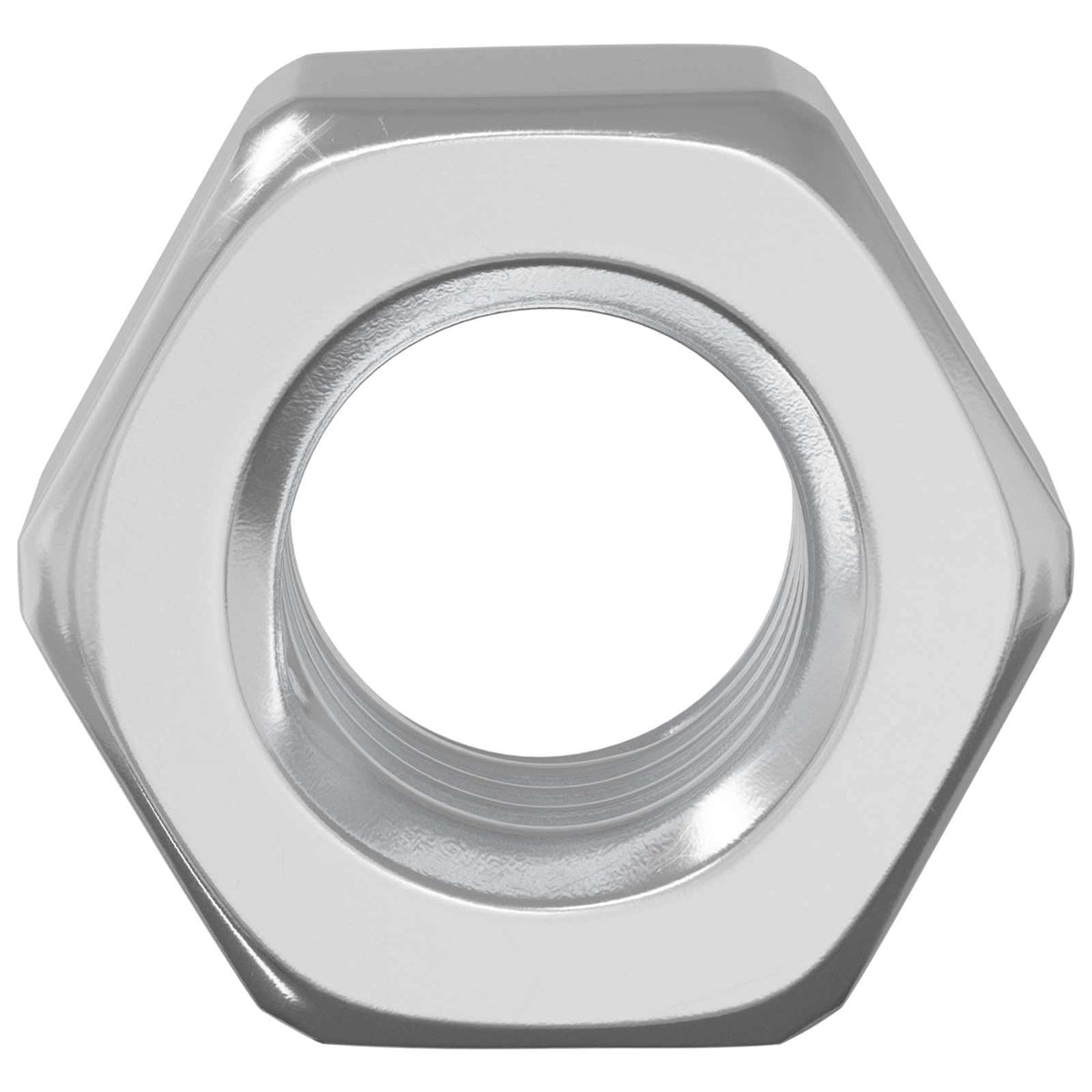 Vidaxl zeskantige eikelnuts 2 pcs zilver m8 metaal