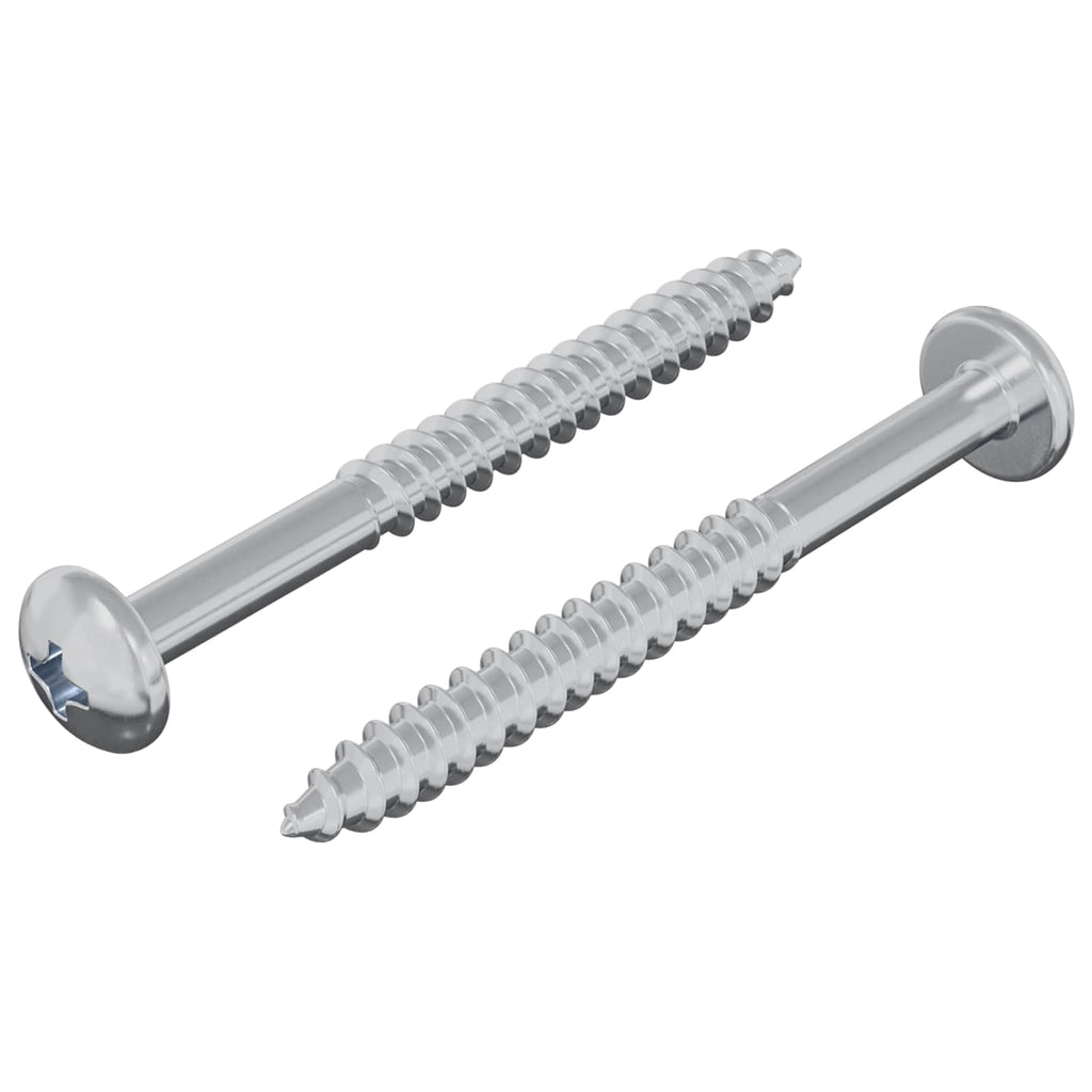 Vidaxl houten schroef 2 pcs zilver 9,8 x 53 mm staal