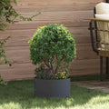 Vidaxl plantenring antraciet 30 x 30 x 20 cm koudgewalst staal