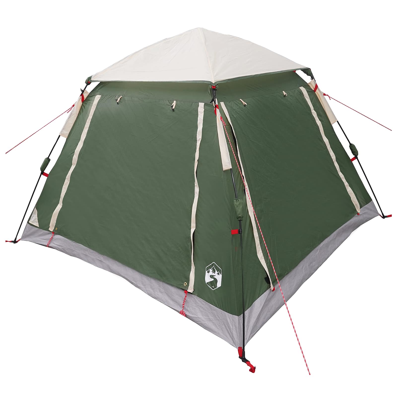 Vidaxl instant tent met regenfly voor 3 personen met snelle bevrijding