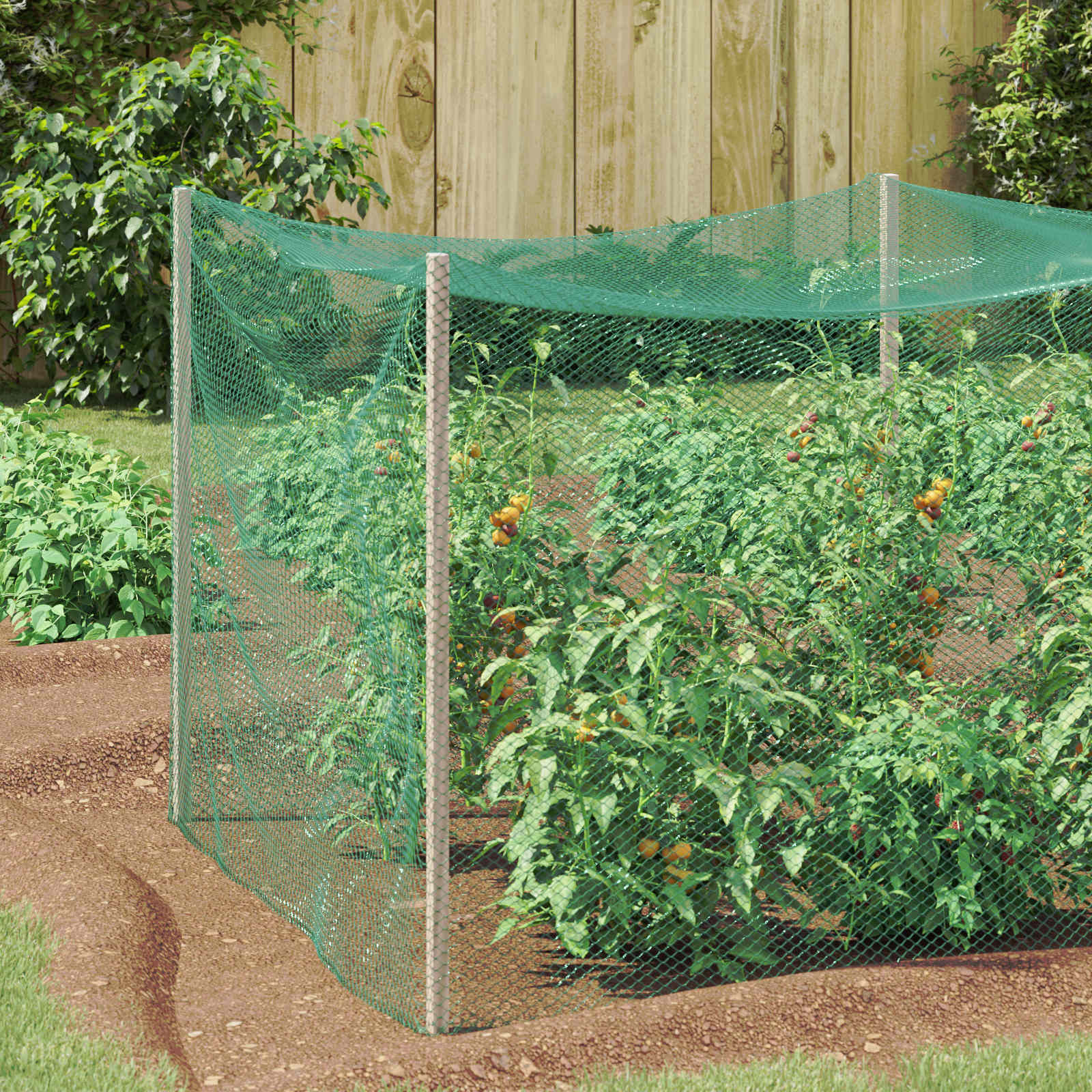 Vidaxl vogel beschermnet groen 2 x 10 m polyetheen