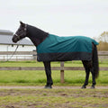 Vidaxl paardendeken donkergroen en zwart 145 cm polyester